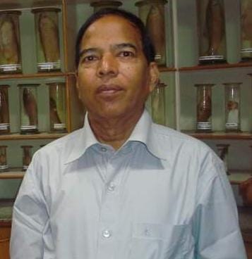 Dinesh Kumar Mathur